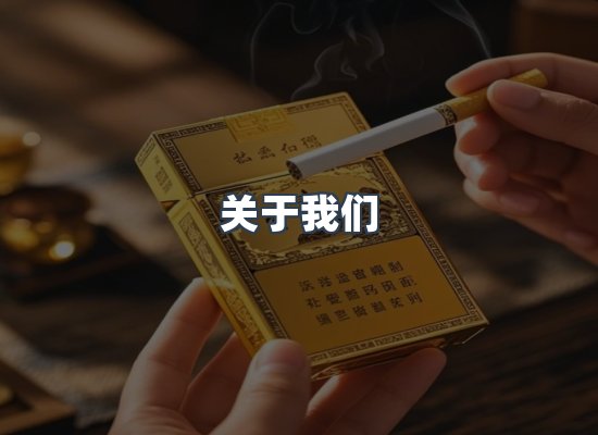 关于我们